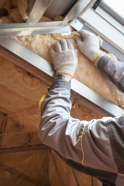 Best Specialty Insulation in Lyndhurst, VA